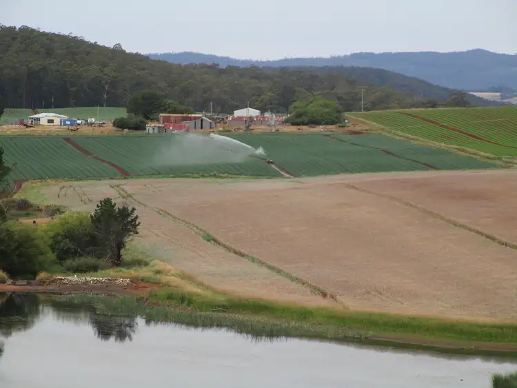 Second view of Homely rural property listing, 690 Kindred Road, Kindred TAS 7310