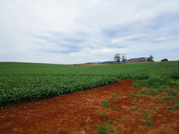 Fifth view of Homely rural property listing, 690 Kindred Road, Kindred TAS 7310