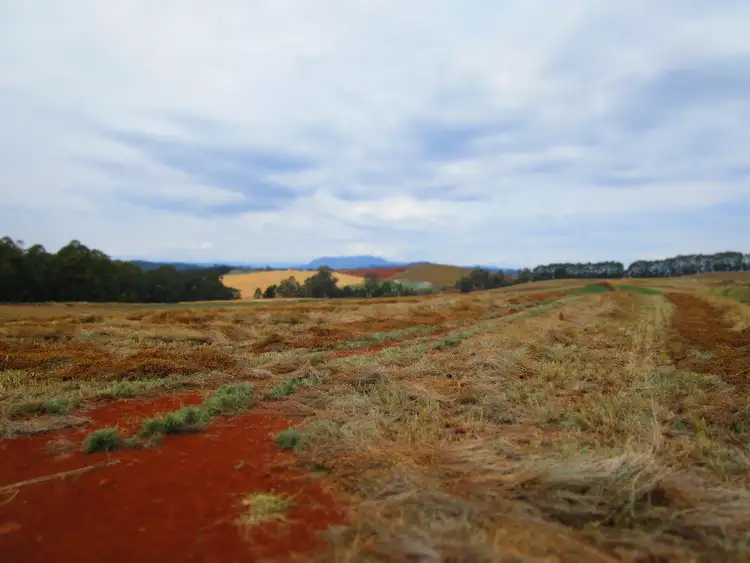 Sixth view of Homely rural property listing, 690 Kindred Road, Kindred TAS 7310
