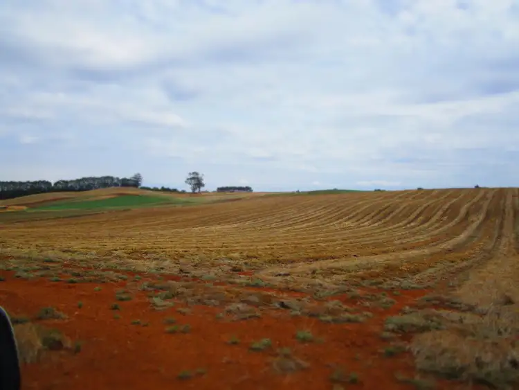 Seventh view of Homely rural property listing, 690 Kindred Road, Kindred TAS 7310
