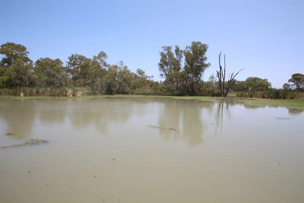 Main view of Homely rural property listing, Sec 48 Causeway Road, Paringa SA 5340
