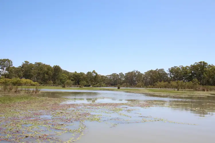 Seventh view of Homely rural property listing, Sec 48 Causeway Road, Paringa SA 5340