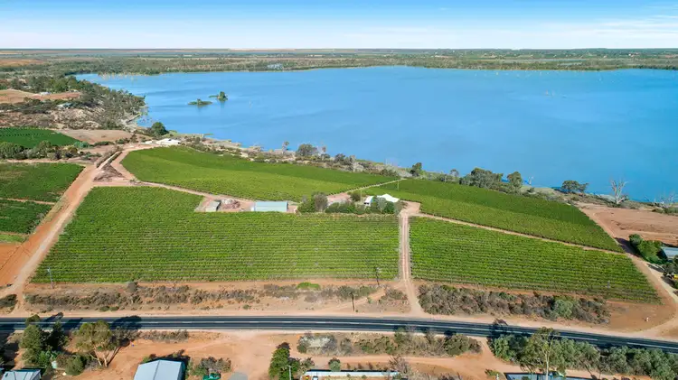 89 Kingston Road, Moorook SA 5332