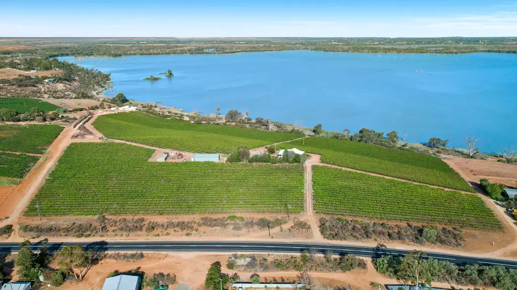 Main view of Homely rural property listing, 89 Kingston Road, Moorook SA 5332
