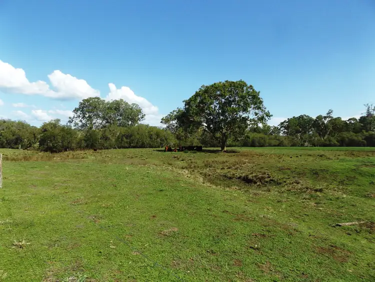 Sixth view of Homely rural property listing, 134 Kings Bridge Road, Nanango QLD 4615