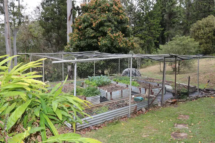 Fifth view of Homely house listing, 4505 kyogle rd, Nimbin NSW 2480