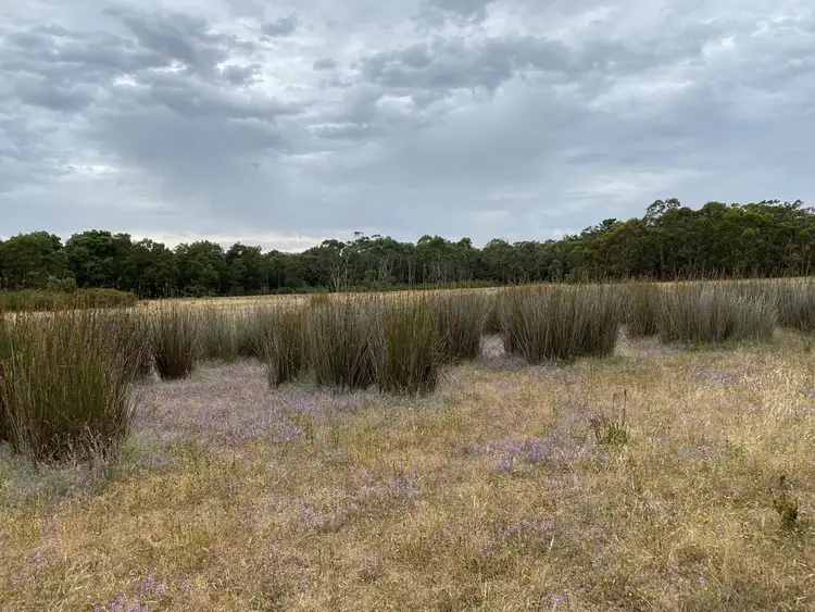 Fifth view of Homely rural property listing, Lot 7 PS422644 Border Road, Strathdownie VIC 3312