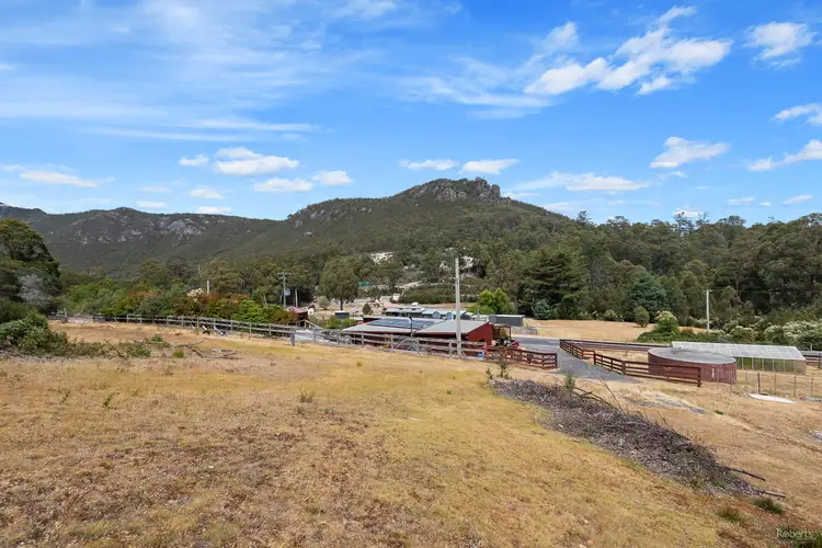 Second view of Homely house listing, 204 Cethana Road, Cethana TAS 7306