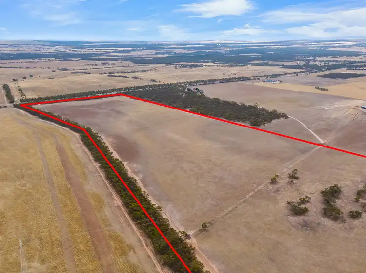 Main view of Homely rural property listing, Lot 202 Monarto Road, Monarto SA 5254