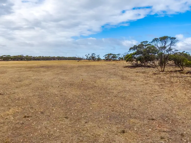 Seventh view of Homely rural property listing, Lot 202 Monarto Road, Monarto SA 5254