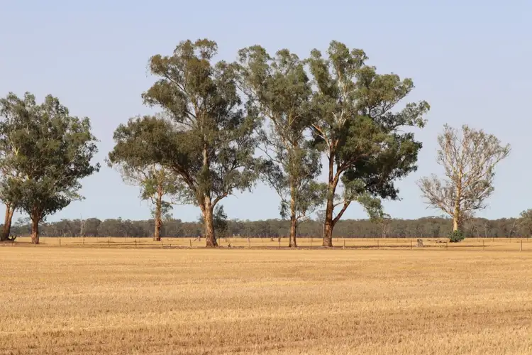Main view of Homely rural property listing, 139 Fishers Road, Combaning NSW 2666