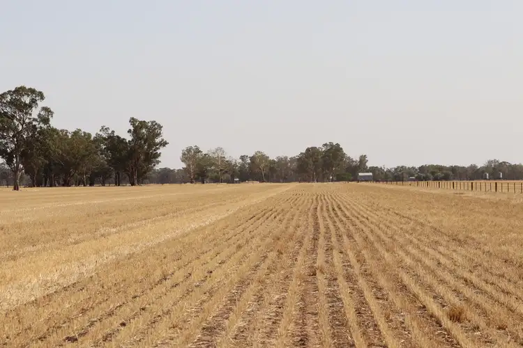 Second view of Homely rural property listing, 139 Fishers Road, Combaning NSW 2666