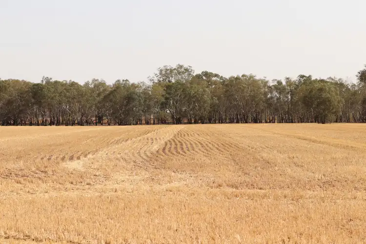 Fifth view of Homely rural property listing, 139 Fishers Road, Combaning NSW 2666