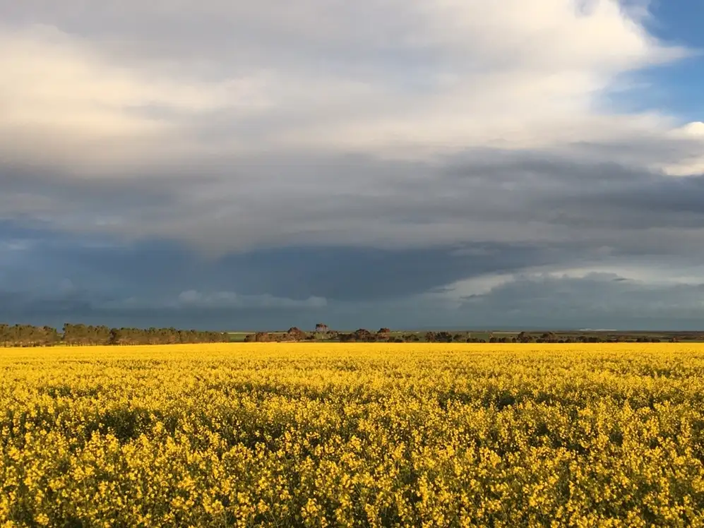 Main view of Homely rural property listing, 371 Roberts Rd, Gairdner WA 6337