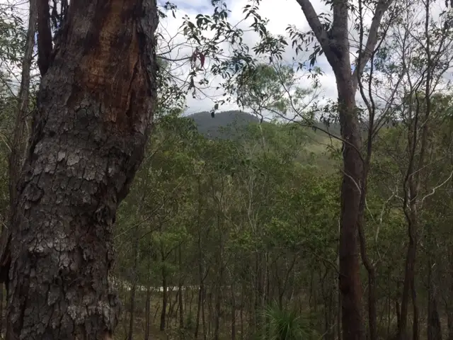 Lot 42 Creevey Drive, Captain Creek QLD 4677
