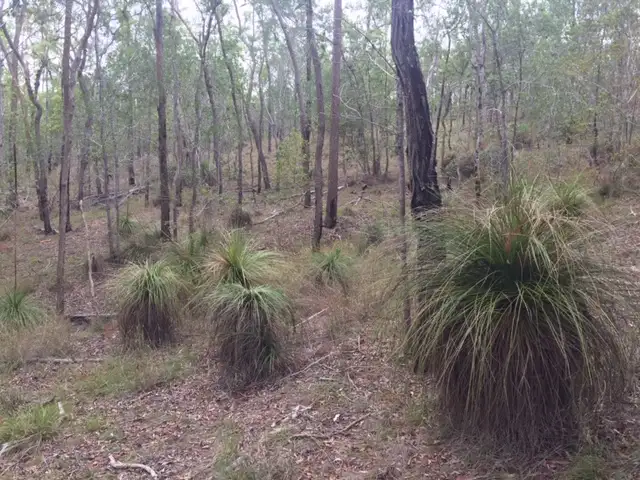 Sixth view of Homely land listing, Lot 42 Creevey Drive, Captain Creek QLD 4677