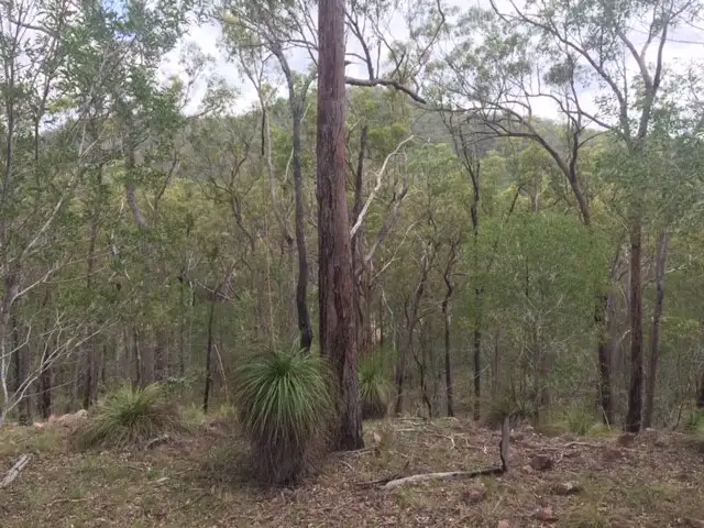 Seventh view of Homely land listing, Lot 42 Creevey Drive, Captain Creek QLD 4677