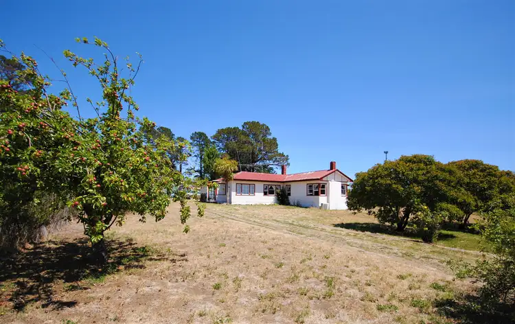 19 Wellington Street, Oatlands TAS 7120