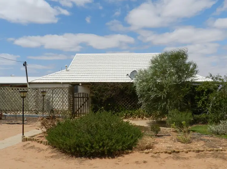 55 Pommy Avenue, Loveday SA 5345