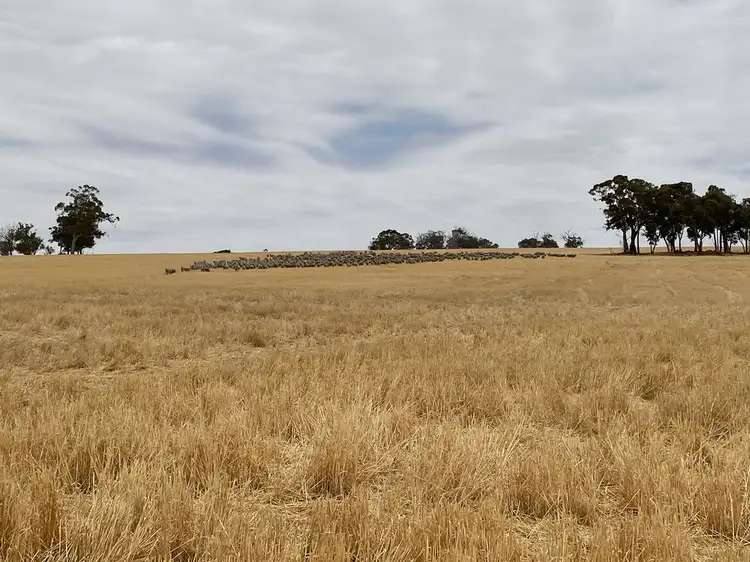 Lot 4717 Magini Road, Kojonup WA 6395