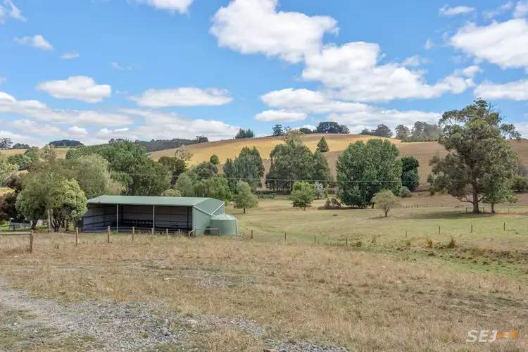 Fifth view of Homely rural property listing, 310 Sheffield Road, Neerim South VIC 3831