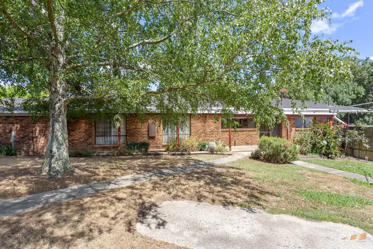 Seventh view of Homely rural property listing, 310 Sheffield Road, Neerim South VIC 3831