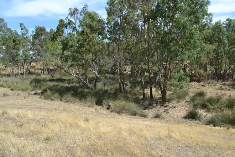 Fifth view of Homely rural property listing, Lot 1 Pyrenees Highway, Elmhurst VIC 3469