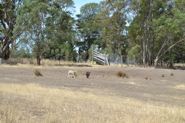 Sixth view of Homely rural property listing, Lot 1 Pyrenees Highway, Elmhurst VIC 3469