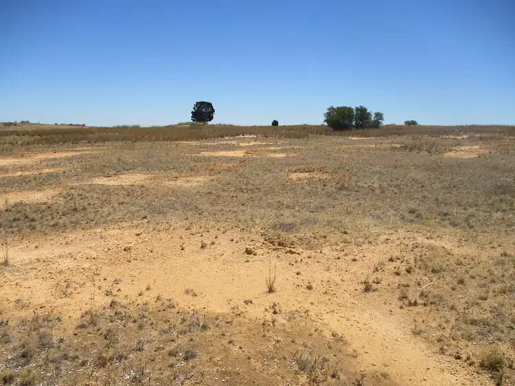 Second view of Homely rural property listing, Lot 275 Govt Rd off Blackett Rd, Tailem Bend SA 5260
