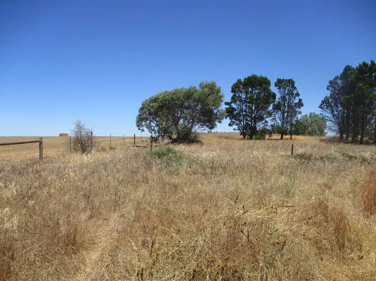 Sixth view of Homely rural property listing, Lot 275 Govt Rd off Blackett Rd, Tailem Bend SA 5260