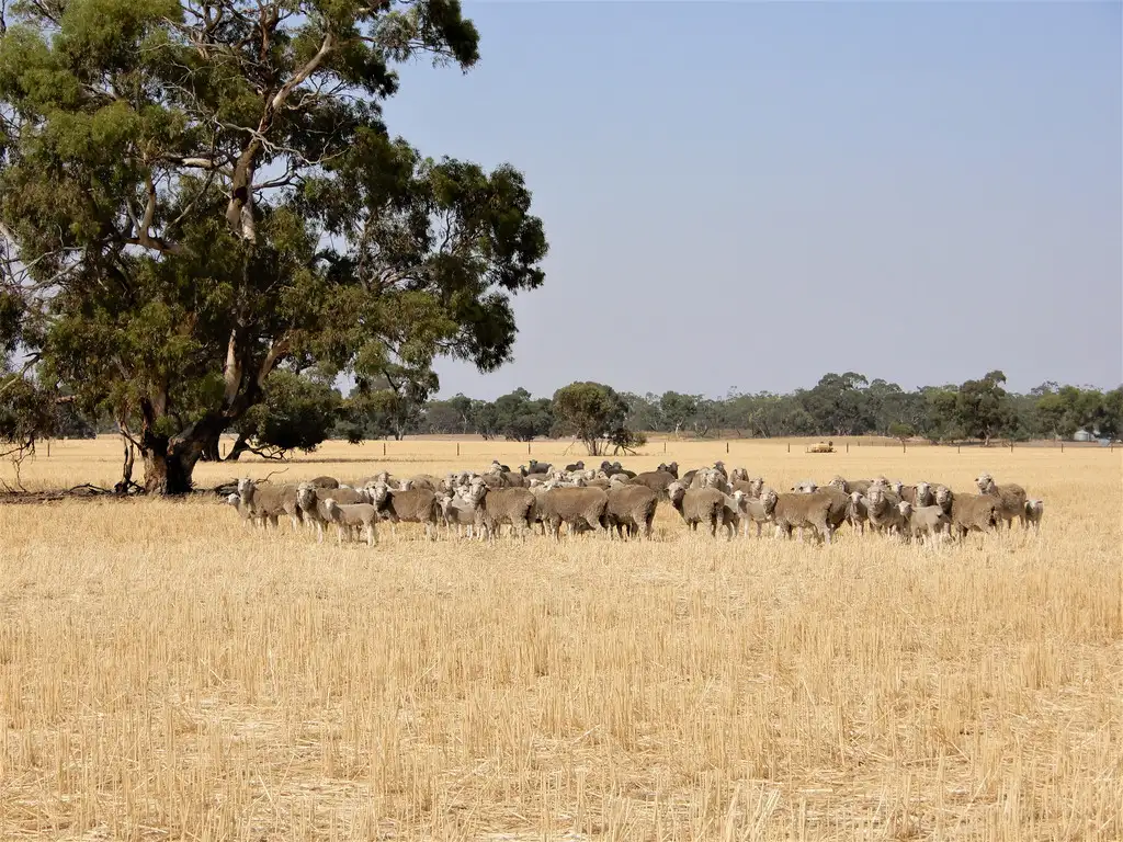 Main view of Homely rural property listing, 776 Eckerts Road, Keith SA 5267
