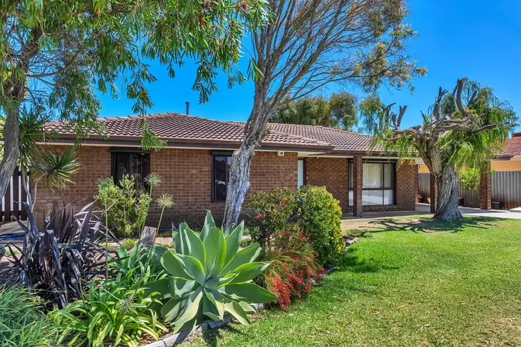 Main view of Homely house listing, 11 Musca Close, Rockingham WA 6168