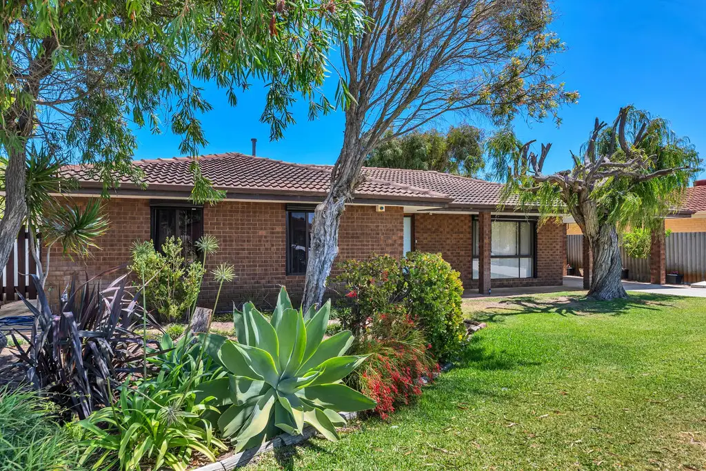 Main view of Homely house listing, 11 Musca Close, Rockingham WA 6168