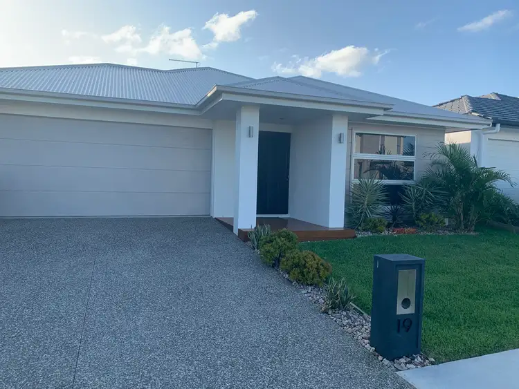 Main view of Homely house listing, 19 Solo St, Newport QLD 4020