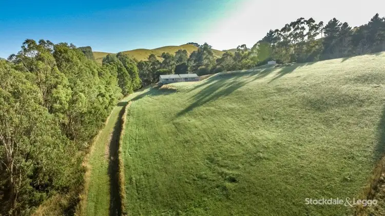 Second view of Homely rural property listing, 519 Central Rd, Turtons Creek VIC 3960