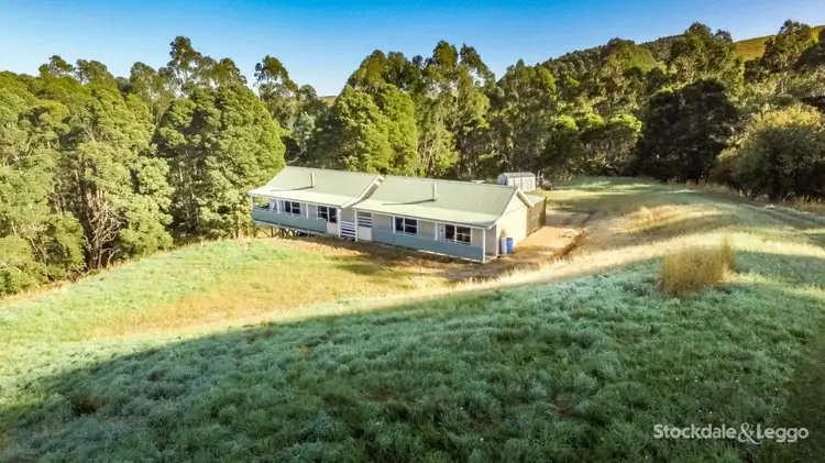 Fourth view of Homely rural property listing, 519 Central Rd, Turtons Creek VIC 3960
