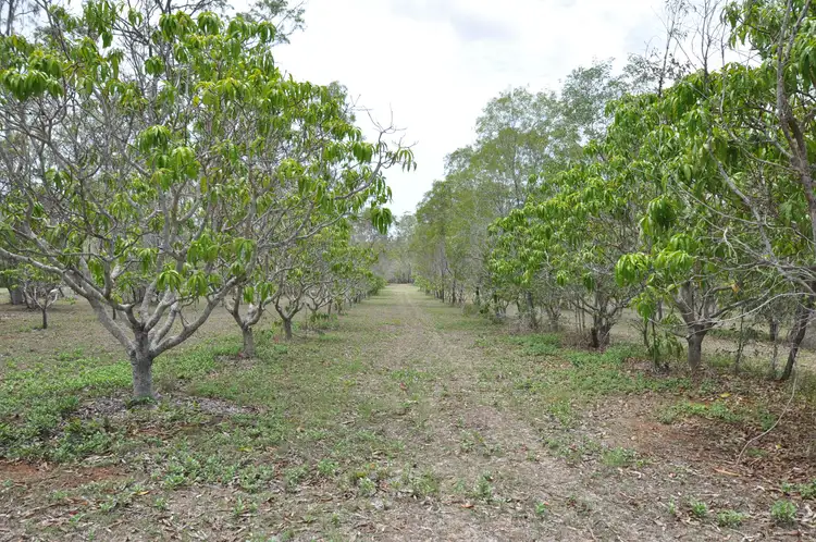 Third view of Homely rural property listing, 156 Coast Rd, Baffle Creek QLD 4674