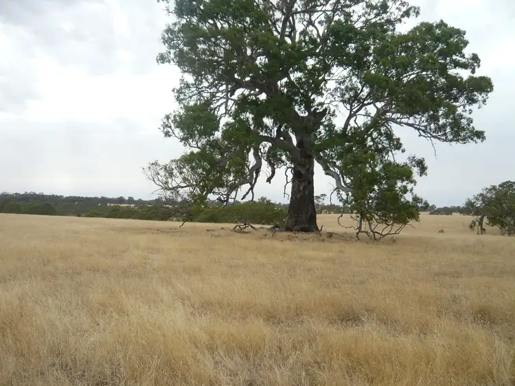 Sixth view of Homely rural property listing, 1106 JASPERS LANE, Harrow VIC 3317