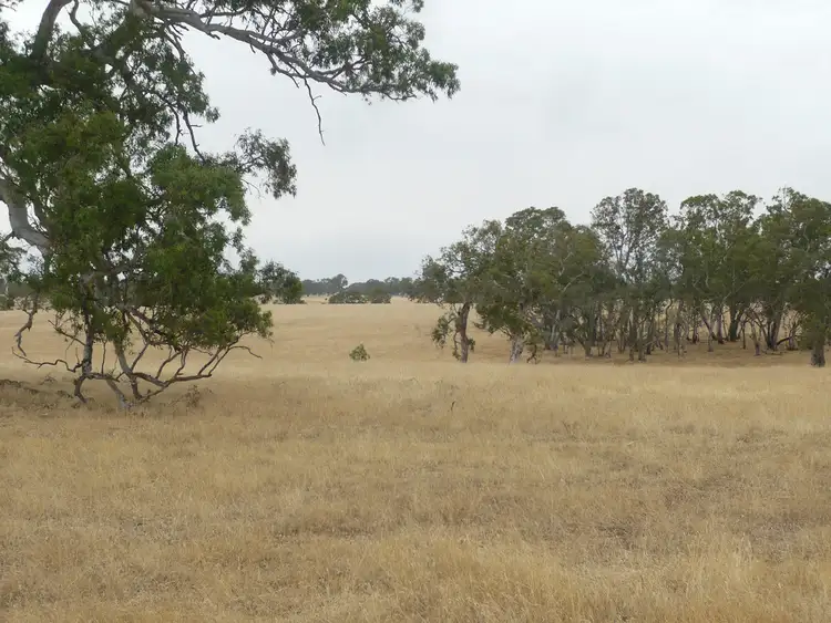 Seventh view of Homely rural property listing, 1106 JASPERS LANE, Harrow VIC 3317