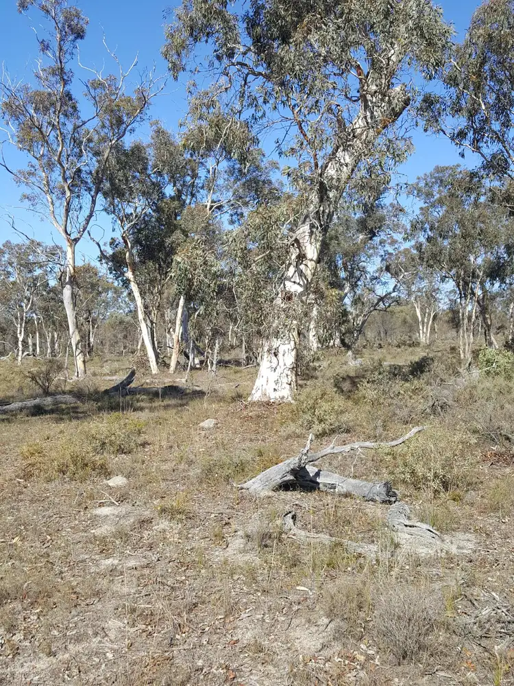 Lot 150 Brooklyn Road