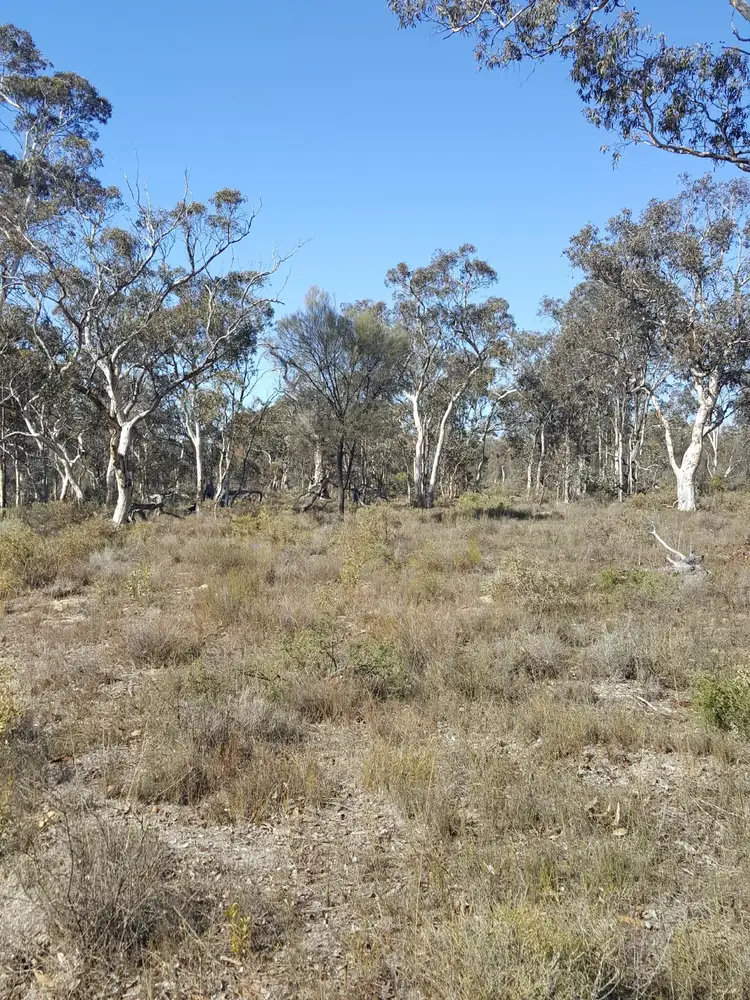 Third view of Homely rural property listing, Lot 150 Brooklyn Road, Cranbrook WA 6321