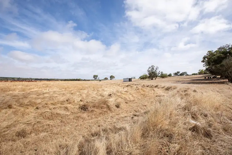 Fourth view of Homely rural property listing, Lot 1010 Cadgee Road, Naracoorte SA 5271
