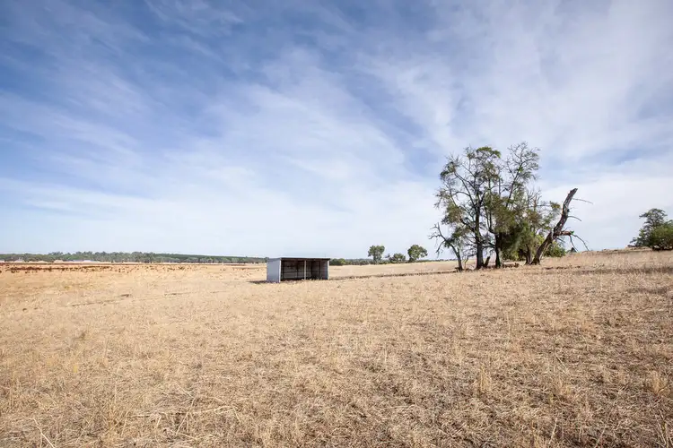 Sixth view of Homely rural property listing, Lot 1010 Cadgee Road, Naracoorte SA 5271