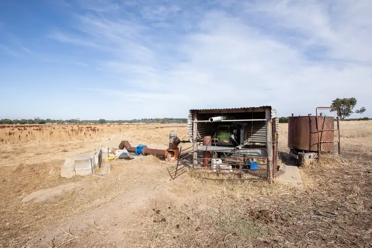 Seventh view of Homely rural property listing, Lot 1010 Cadgee Road, Naracoorte SA 5271