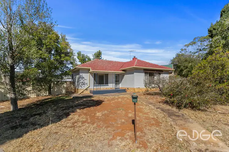 Main view of Homely house listing, 43 Innes Street, Elizabeth Park SA 5113
