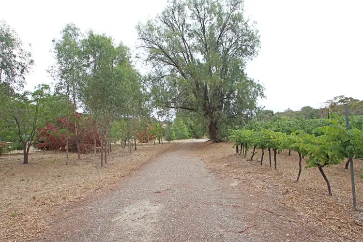 Lot 14 WENDOUREE ROAD, Clare SA 5453