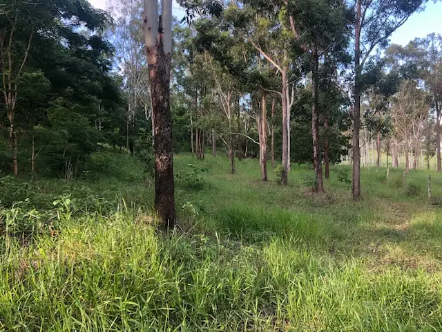 Fifth view of Homely land listing, 214 Barrow Hill Road, Habana QLD 4740