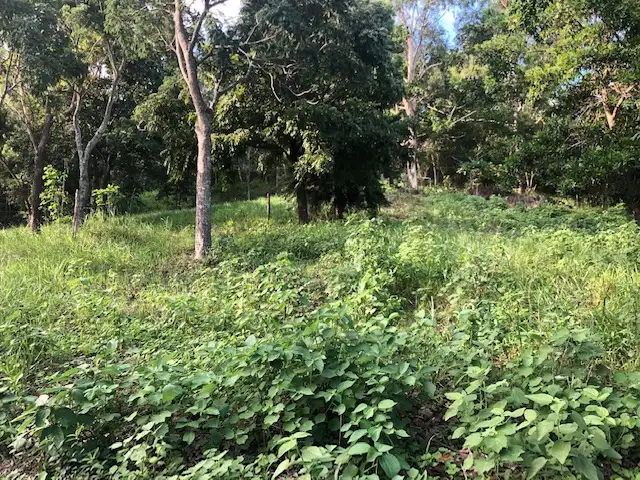 Sixth view of Homely land listing, 214 Barrow Hill Road, Habana QLD 4740