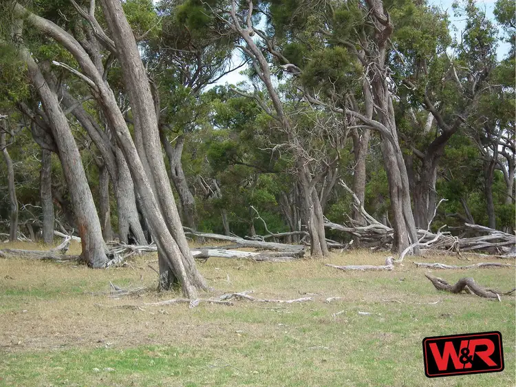 Lot 53 Old School Road, Elleker WA 6330