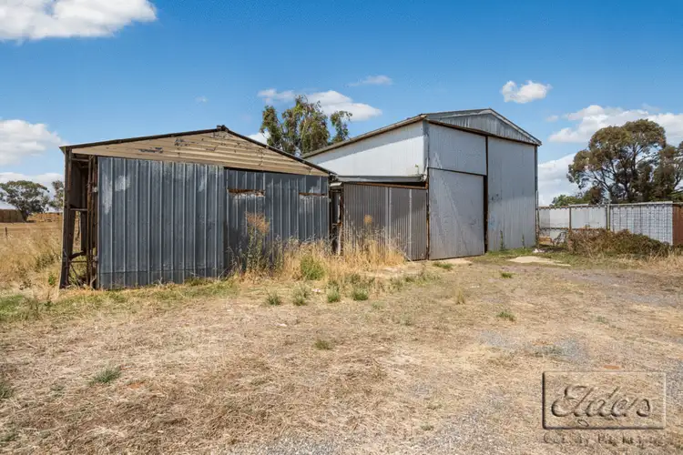 Seventh view of Homely house listing, 34 Bell Street, Borung VIC 3518